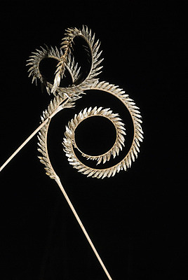 포토 JPG 해외이미지 실루엣 사람없음 남아프리카 해외202004 해외포토 아프리카 촬영기법 파일형식 이미지허브