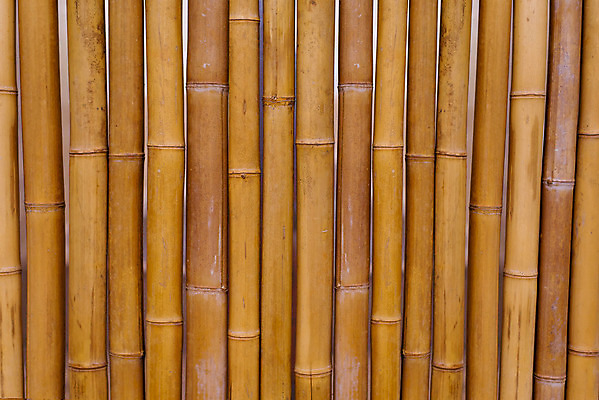 포토 JPG 해외이미지 나무 식물 디자인 백그라운드 패턴 자연 벽지 추상 동양인 사람없음 목재 장식 갈색 노란색 우주 정원 일본 중국 공백 카펫 원형 막대기 실 삼베 대나무 보따리 유기농 원예 질감 냅킨 정사각형 캔버스 섬유 내추럴 옛날 부족함 해외202004 해외포토 도형 웰빙 아시아 컬러 컨셉 무늬 재료 인종 취미 직물 생태계 파일형식 천_직물 이미지허브