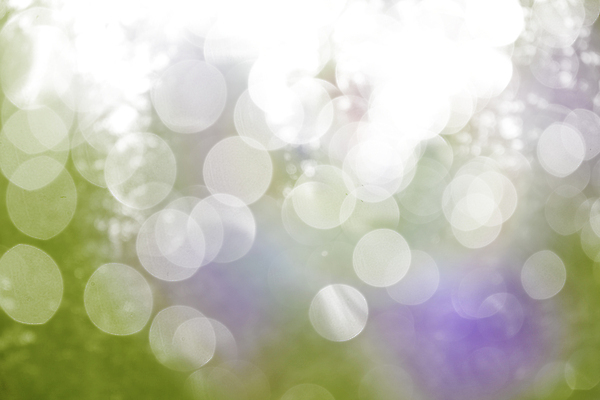 포토 JPG 해외이미지 주간 사람없음 야외 햇빛 소프트포커스 보케 빛망울 블러 블러효과 보케백그라운드 해외202004 해외포토 자연요소 백그라운드 촬영기법 빛 태양 파일형식 효과 이미지허브