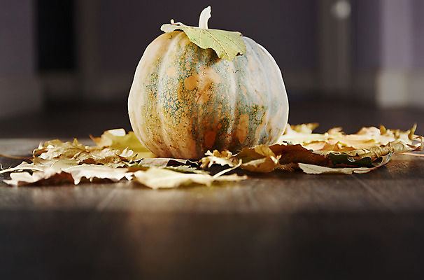 포토 JPG 해외이미지 전통 계절 음식 컨셉 잎 채소 오렌지 호박 휴가 실내 그림자 사람없음 목재 장식 가로 축제 활발 할로윈 가을 시골 축하 심볼 오브젝트 준비 싱글 10월 숙성 세관 해외202004 해외포토 나무 식물 과일 재료 내부 날짜 파일형식 관세청 이미지허브