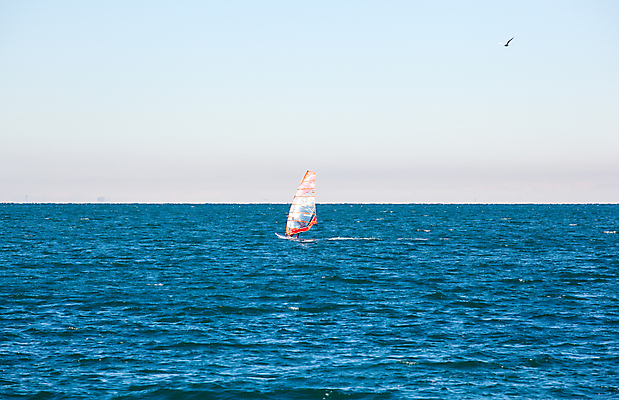 포토 JPG 해외이미지 주간 1 라이프스타일 실루엣 스포츠 파도 바다 이동 오렌지 표면 사람 사람없음 야외 빛 햇빛 반사 힘 젖음 윈드서핑 수상스포츠 서핑보드 개울 서핑 서퍼 스카이라인 운동가 수평선 해외202004 해외포토 자연요소 컨셉 과일 운동선수 촬영기법 생활 강 태양 보드_스포츠 파일형식 이미지허브