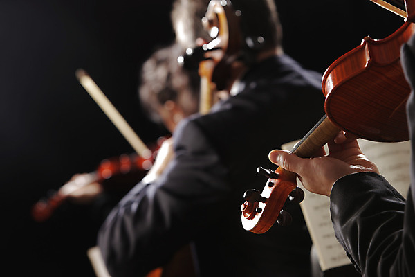 포토 JPG 해외이미지 손 음악 연주 검은배경 실내 상반신 성인 두명 뒷모습 아웃포커스 신체부위 바이올린 합주 바이올리니스트 성인만 해외202004 해외포토 뷰포인트 백그라운드 현악기 문화예술 촬영기법 사람 내부 검은색 연주자 파일형식 이미지허브