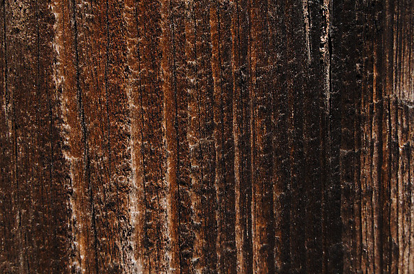 포토 JPG 해외이미지 외관 벽 백그라운드 패턴 자연 벽지 탁자 표면 추상 바닥 사람없음 목재 장식 갈색 어둠 공백 수확 소나무 판넬 거친 널 낟알 질감 호두 내추럴 그런지 수목 엘리먼트 옛날 파케트 해외202004 해외포토 나무 컬러 가구 무늬 농업 재료 견과류 생태계 파일형식 이미지허브