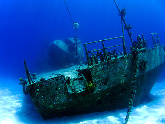 포토 JPG 해외이미지 바다 섬 어류 사람없음 부채 산호 암초 조난 총포 해외202004 해외포토 수중동물 자포동물 파일형식 이미지허브