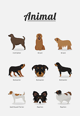 동물 여러마리 일러스트 포유류 종류 사람없음 개 강아지 반려 아이리쉬세터 파피용 국내일러스트 AI파일 다수 반려동물 파일형식 벡터