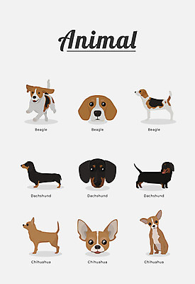 동물 여러마리 일러스트 포유류 종류 사람없음 개 강아지 닥스훈트 비글 치와와 반려 국내일러스트 AI파일 다수 반려동물 파일형식 벡터