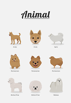 동물 여러마리 일러스트 포유류 종류 사람없음 말티즈 개 강아지 진돗개 반려 포메라니안 비숑프리제 국내일러스트 AI파일 다수 반려동물 파일형식 벡터