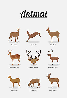 동물 여러마리 일러스트 포유류 사슴 종류 사람없음 꽃사슴 노루 국내일러스트 AI파일 다수 파일형식 벡터
