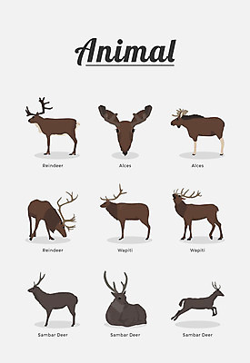 동물 여러마리 일러스트 포유류 종류 사람없음 말코손바닥사슴 순록 엘크 물사슴 국내일러스트 AI파일 다수 사슴 파일형식 벡터