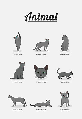 동물 여러마리 일러스트 포유류 종류 사람없음 고양이 러시안블루 반려 국내일러스트 AI파일 다수 반려동물 파일형식 벡터