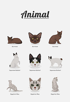 동물 여러마리 일러스트 포유류 종류 사람없음 고양이 반려 버미즈 재패니즈밥테일 국내일러스트 AI파일 다수 반려동물 파일형식 벡터