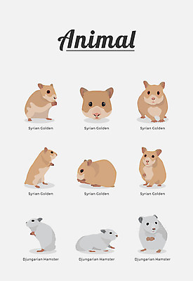 동물 여러마리 일러스트 포유류 종류 사람없음 햄스터 반려 국내일러스트 AI파일 다수 반려동물 설치류 파일형식 벡터