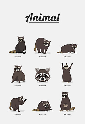 동물 여러마리 일러스트 포유류 종류 사람없음 라쿤 국내일러스트 AI파일 다수 너구리 파일형식 벡터