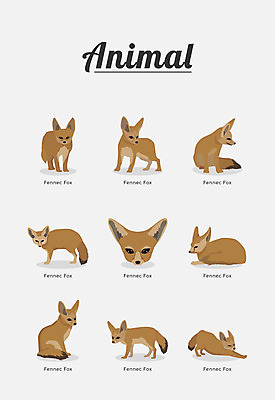 동물 여러마리 일러스트 포유류 종류 사람없음 여우 사막여우 페넥여우 국내일러스트 AI파일 다수 파일형식 벡터