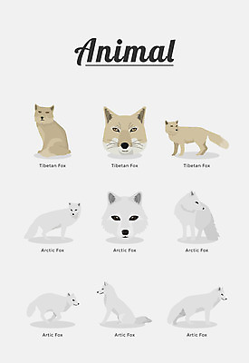 동물 여러마리 일러스트 포유류 종류 사람없음 여우 북극여우 티벳여우 국내일러스트 AI파일 다수 파일형식 벡터
