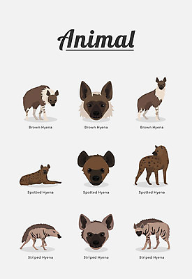 동물 여러마리 일러스트 포유류 종류 사람없음 하이에나 국내일러스트 AI파일 다수 파일형식 벡터