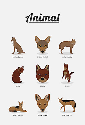 동물 여러마리 일러스트 포유류 종류 사람없음 국내일러스트 AI파일 다수 파일형식 벡터