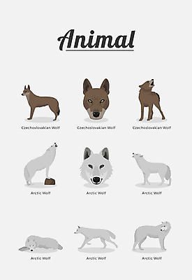 동물 여러마리 일러스트 포유류 종류 사람없음 늑대 북극늑대 국내일러스트 AI파일 다수 파일형식 벡터