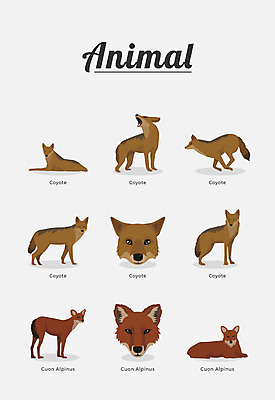 동물 여러마리 일러스트 포유류 종류 사람없음 늑대 코요테 국내일러스트 AI파일 다수 파일형식 벡터