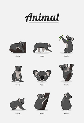 동물 여러마리 일러스트 포유류 종류 사람없음 코알라 국내일러스트 AI파일 다수 파일형식 벡터