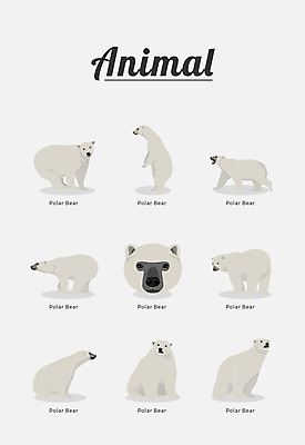 동물 여러마리 일러스트 포유류 종류 사람없음 북극곰 국내일러스트 AI파일 다수 곰 파일형식 벡터