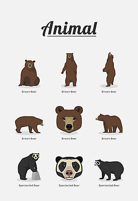 동물 여러마리 일러스트 곰 포유류 종류 사람없음 안경곰 국내일러스트 AI파일 다수 파일형식 벡터