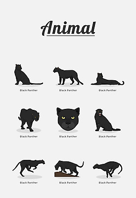 동물 여러마리 일러스트 포유류 종류 사람없음 표범 흑표범 국내일러스트 AI파일 다수 파일형식 벡터