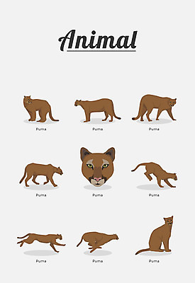 동물 여러마리 일러스트 포유류 종류 사람없음 퓨마 국내일러스트 AI파일 다수 파일형식 벡터