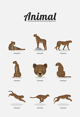 동물 여러마리 일러스트 포유류 종류 사람없음 치타 국내일러스트 AI파일 다수 파일형식 벡터