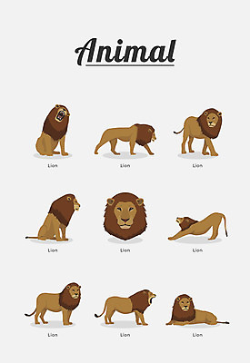 동물 여러마리 일러스트 포유류 종류 사람없음 사자 숫사자 국내일러스트 AI파일 다수 수컷 파일형식 벡터