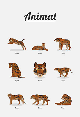 동물 여러마리 일러스트 포유류 종류 사람없음 호랑이 국내일러스트 AI파일 다수 파일형식 벡터