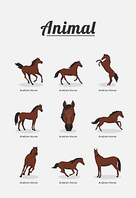 동물 여러마리 일러스트 포유류 종류 사람없음 말_동물 아라비안 국내일러스트 AI파일 다수 파일형식 벡터