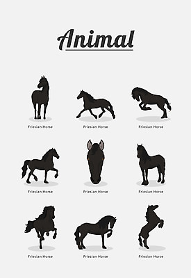 동물 여러마리 일러스트 포유류 종류 사람없음 말_동물 국내일러스트 AI파일 다수 파일형식 벡터