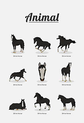 동물 여러마리 일러스트 포유류 종류 사람없음 말_동물 국내일러스트 AI파일 다수 파일형식 벡터