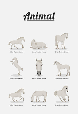 동물 여러마리 일러스트 포유류 종류 사람없음 말_동물 백마 국내일러스트 AI파일 다수 파일형식 벡터