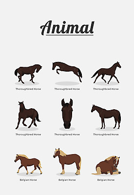 동물 여러마리 일러스트 포유류 종류 사람없음 말_동물 국내일러스트 AI파일 다수 파일형식 벡터