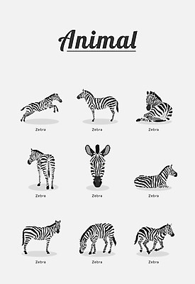 동물 여러마리 일러스트 포유류 종류 사람없음 얼룩말 국내일러스트 AI파일 다수 말_동물 파일형식 벡터