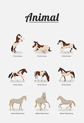 동물 여러마리 일러스트 포유류 종류 사람없음 말_동물 국내일러스트 AI파일 다수 파일형식 벡터