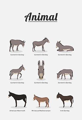 동물 여러마리 일러스트 포유류 종류 사람없음 당나귀 국내일러스트 AI파일 다수 말_동물 파일형식 벡터