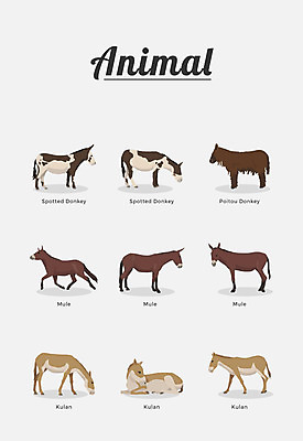 동물 여러마리 일러스트 포유류 종류 사람없음 당나귀 국내일러스트 AI파일 다수 말_동물 파일형식 벡터