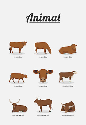 동물 여러마리 일러스트 포유류 종류 사람없음 소 젖소 국내일러스트 AI파일 다수 파일형식 벡터