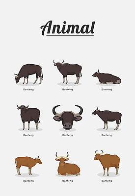 동물 여러마리 일러스트 포유류 종류 사람없음 소 들소 국내일러스트 AI파일 다수 파일형식 벡터