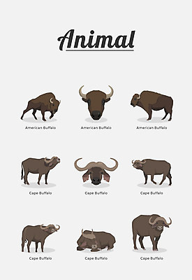 동물 여러마리 일러스트 포유류 종류 사람없음 소 버팔로 아프리카물소 국내일러스트 AI파일 다수 파일형식 벡터
