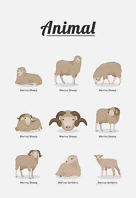 동물 여러마리 일러스트 포유류 종류 사람없음 양 국내일러스트 AI파일 다수 파일형식 벡터