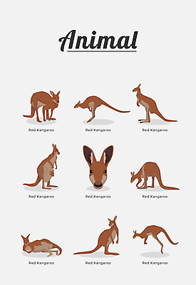 동물 여러마리 일러스트 포유류 종류 사람없음 캥거루 국내일러스트 AI파일 다수 파일형식 벡터