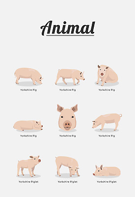 동물 여러마리 일러스트 포유류 종류 사람없음 돼지 아프리카돼지열병 국내일러스트 AI파일 다수 파일형식 벡터 돼지전염병