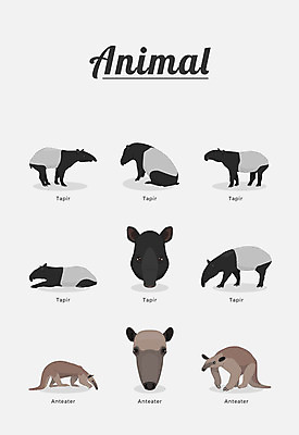 동물 여러마리 일러스트 포유류 종류 사람없음 개미핥기 국내일러스트 AI파일 다수 파일형식 벡터