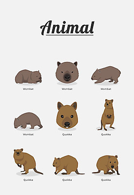 동물 여러마리 일러스트 포유류 종류 사람없음 쿼카 국내일러스트 AI파일 다수 파일형식 벡터