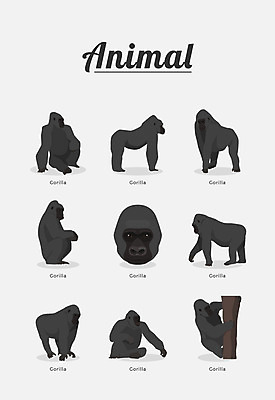 동물 여러마리 일러스트 포유류 종류 사람없음 고릴라 국내일러스트 AI파일 다수 파일형식 벡터