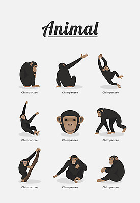 동물 여러마리 일러스트 포유류 종류 사람없음 침팬지 국내일러스트 AI파일 다수 파일형식 벡터